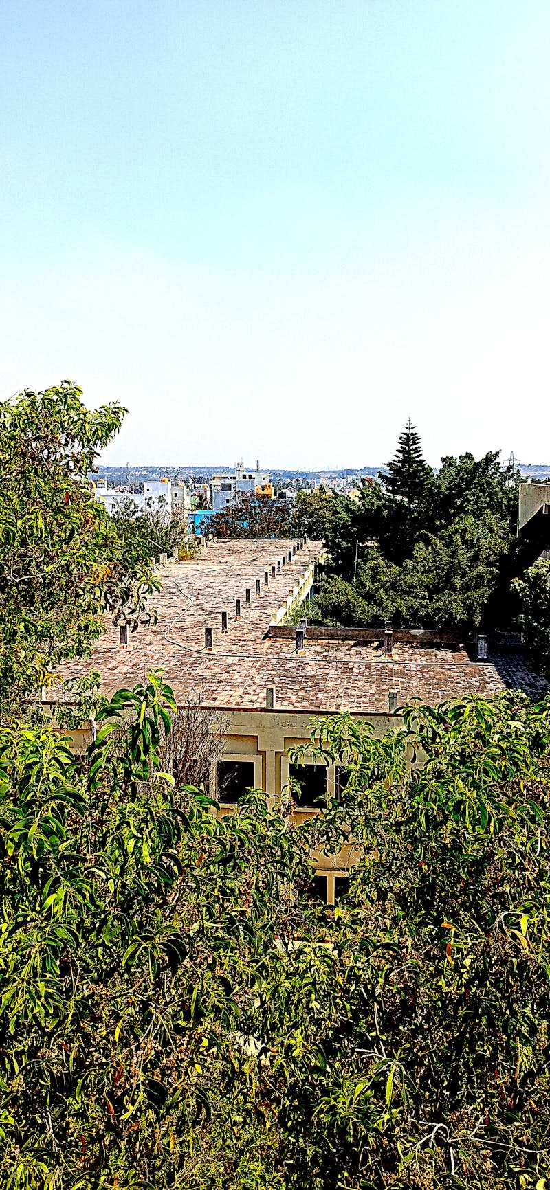 El Çantaları